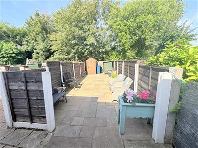 Picture 19